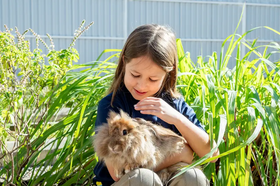 Aluna do Colégio Atlântico segurando e acariciando um coelho no jardim da escola, atividade educativa que estimula o cuidado com os animais.